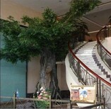图片0