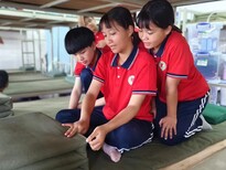 图片0