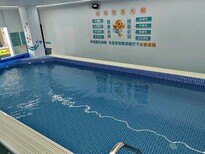 图片0