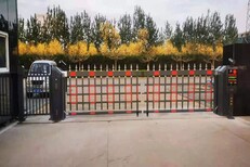 图片0