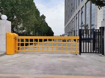 图片0
