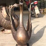 图片0