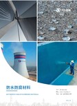 图片0