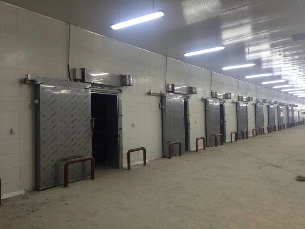 漯河郾城区复式速冻隧道回收拆除食品厂车间拆除