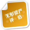 邯郸公司增资评估报告，软件著作权增资评估，专有技术增资评估