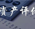无形资产评估，知识产权的价值评估，商标的资产评估