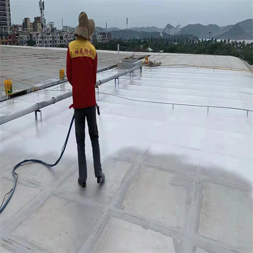贵港桂平屋顶防水补漏_-质量