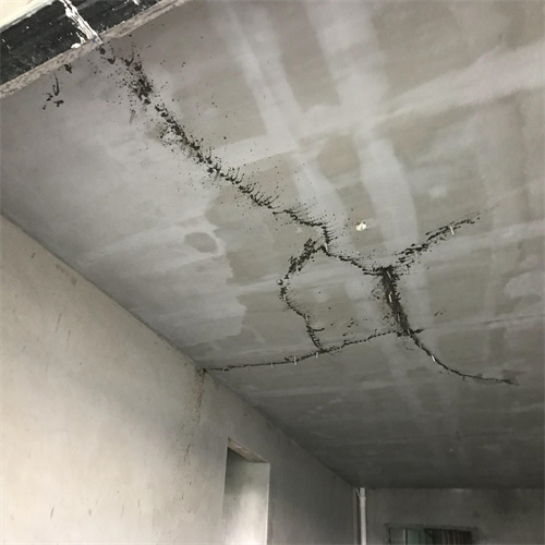 贵港港北区外墙的防水_房屋漏水检测公司