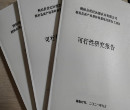 吉林会写项目建议书公司编写报告可行图片