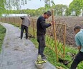 民权竹篱笆竹片护栏涵江区竹子护栏仿竹护栏