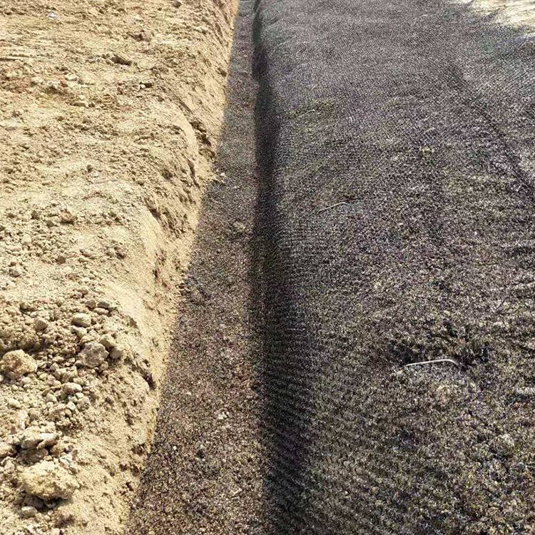 丹东凤城植草毯 生态水土保护毯厂家