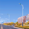 日照11米路灯厂家当地生产