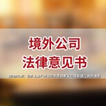 图片0