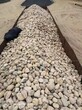 贵阳云岩区水处理鹅卵石米黄色鹅卵石价格图片