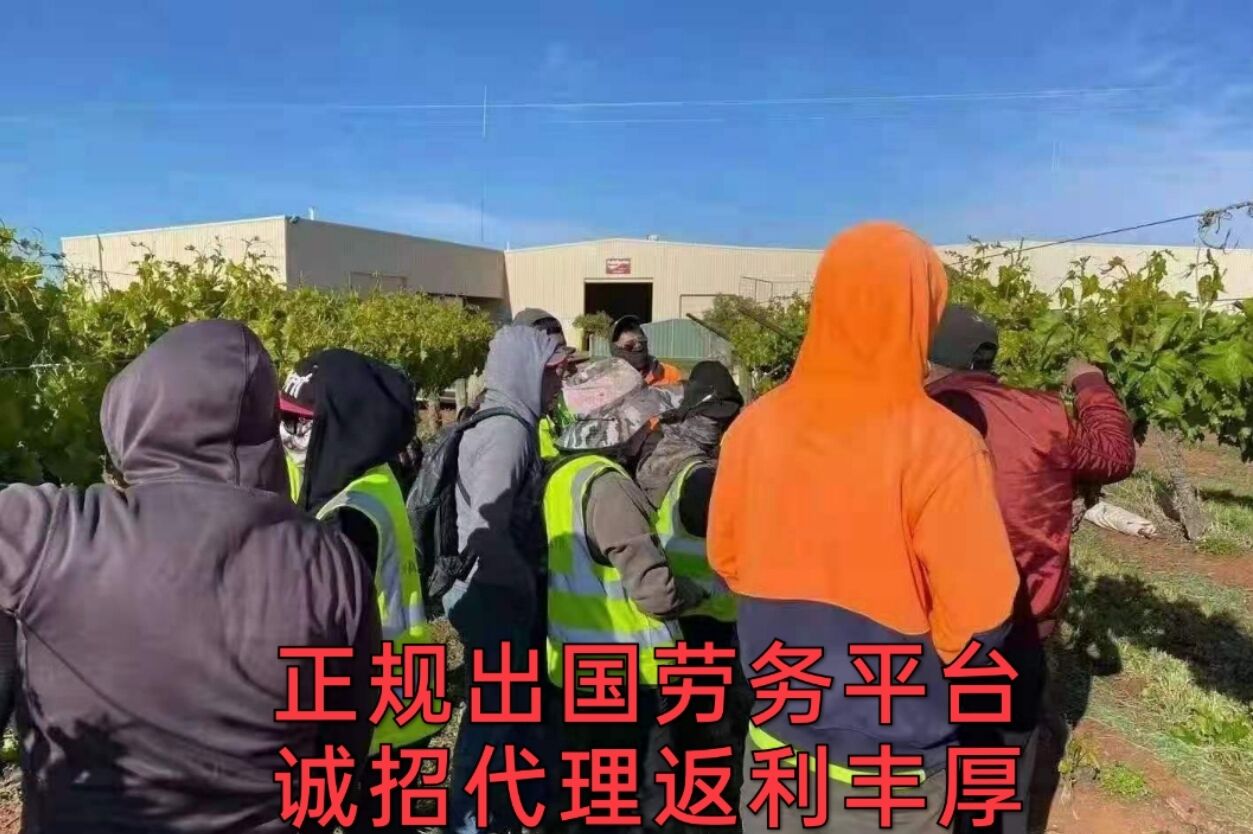 远境劳务天津海外劳务德国电池厂包装工不加班