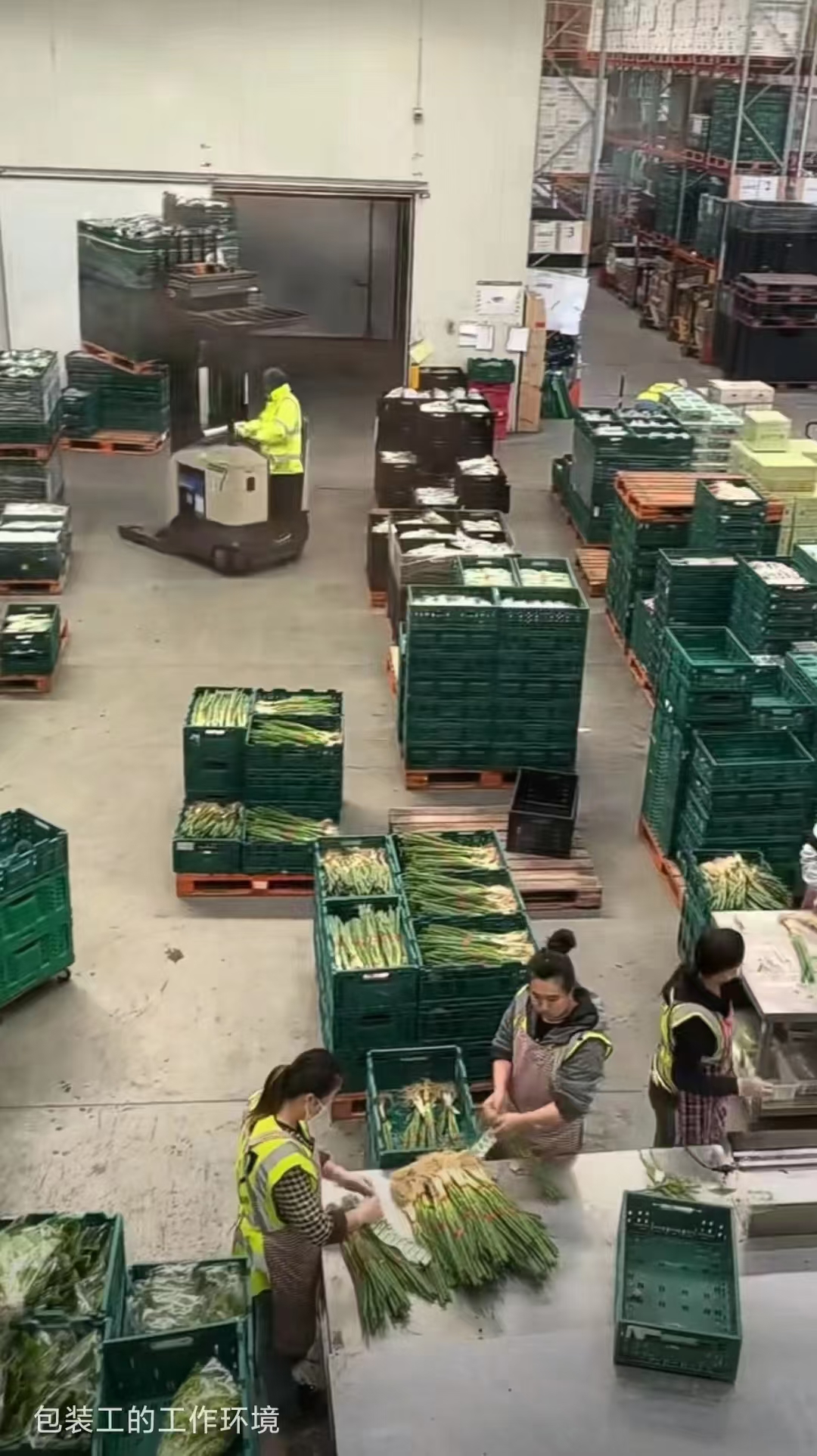 远境劳务云南正规出国劳务瑞典超市理货员员年薪39万以上