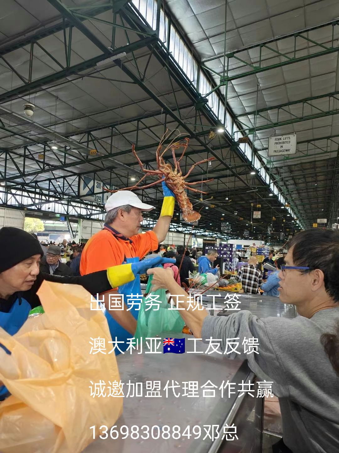远境劳务广东出国劳务火爆超市理货员员年薪39万以上