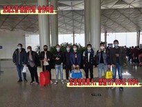 图片0