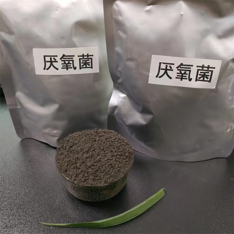 克孜勒蘇柯爾克孜污水處理降解氨氮值硝化菌反硝化菌實驗流程