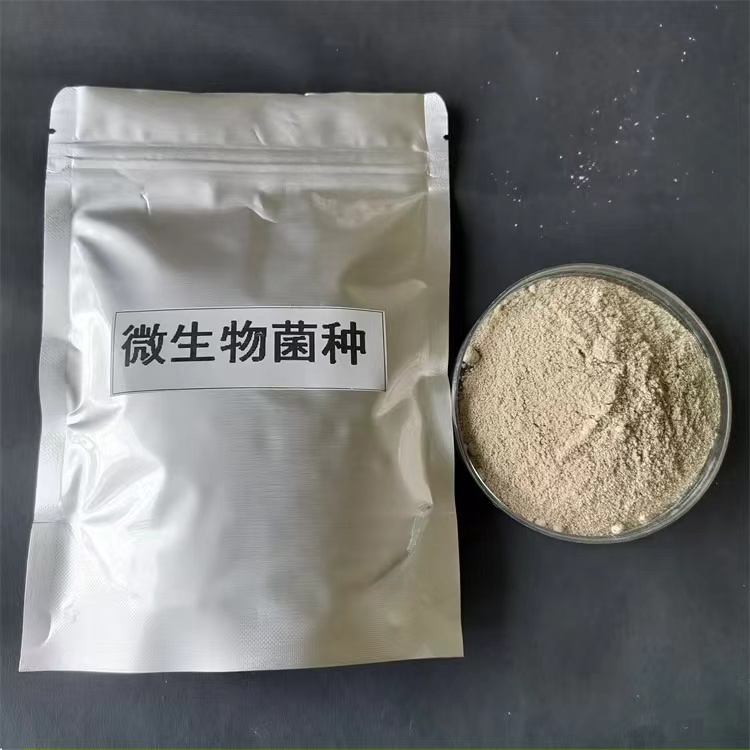 內江化糞池污水處理用菌種除磷脫氮生物除臭工藝流程