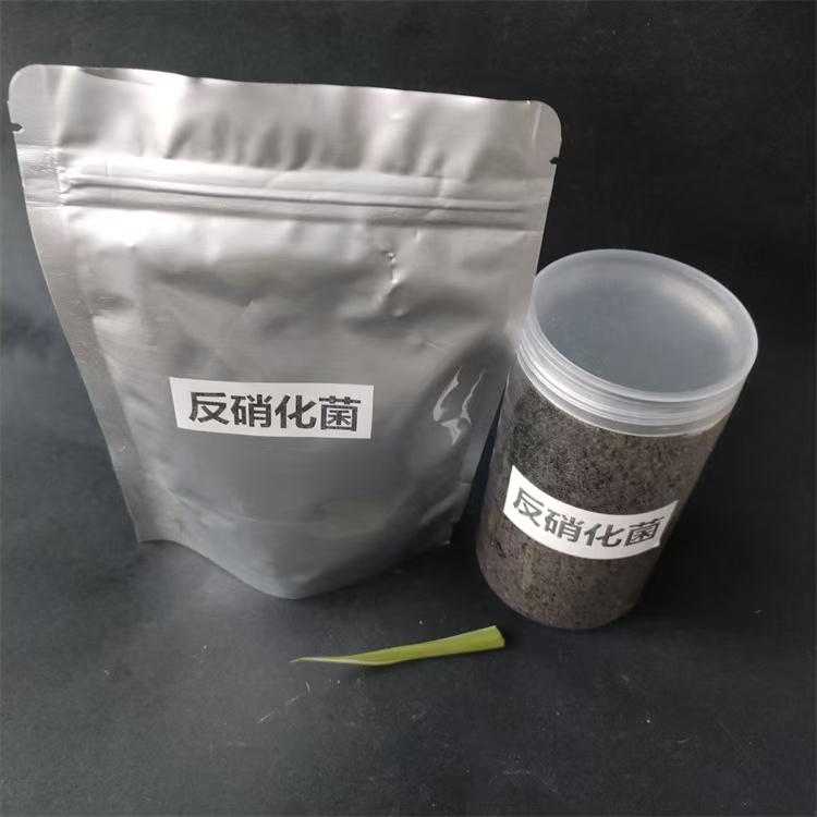 汕頭污水處理微生物菌種復(fù)合菌劑批發(fā)價格