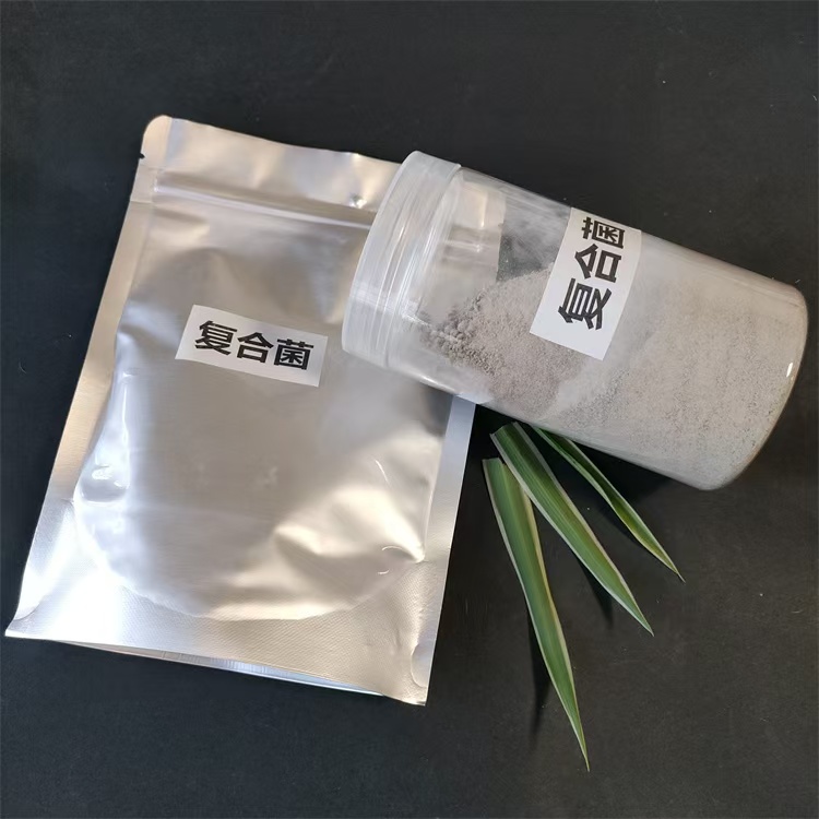 伊犁水體凈化用菌種厭氧加強(qiáng)菌劑供應(yīng)價格