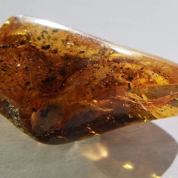 新疆哪里紫砂壶上门收购电话—各类陨石收购联系方式