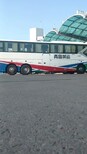 图片0