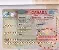 邯郸出国劳务好么帮厨切配常年招工2024新+排名一览