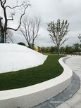 图片0