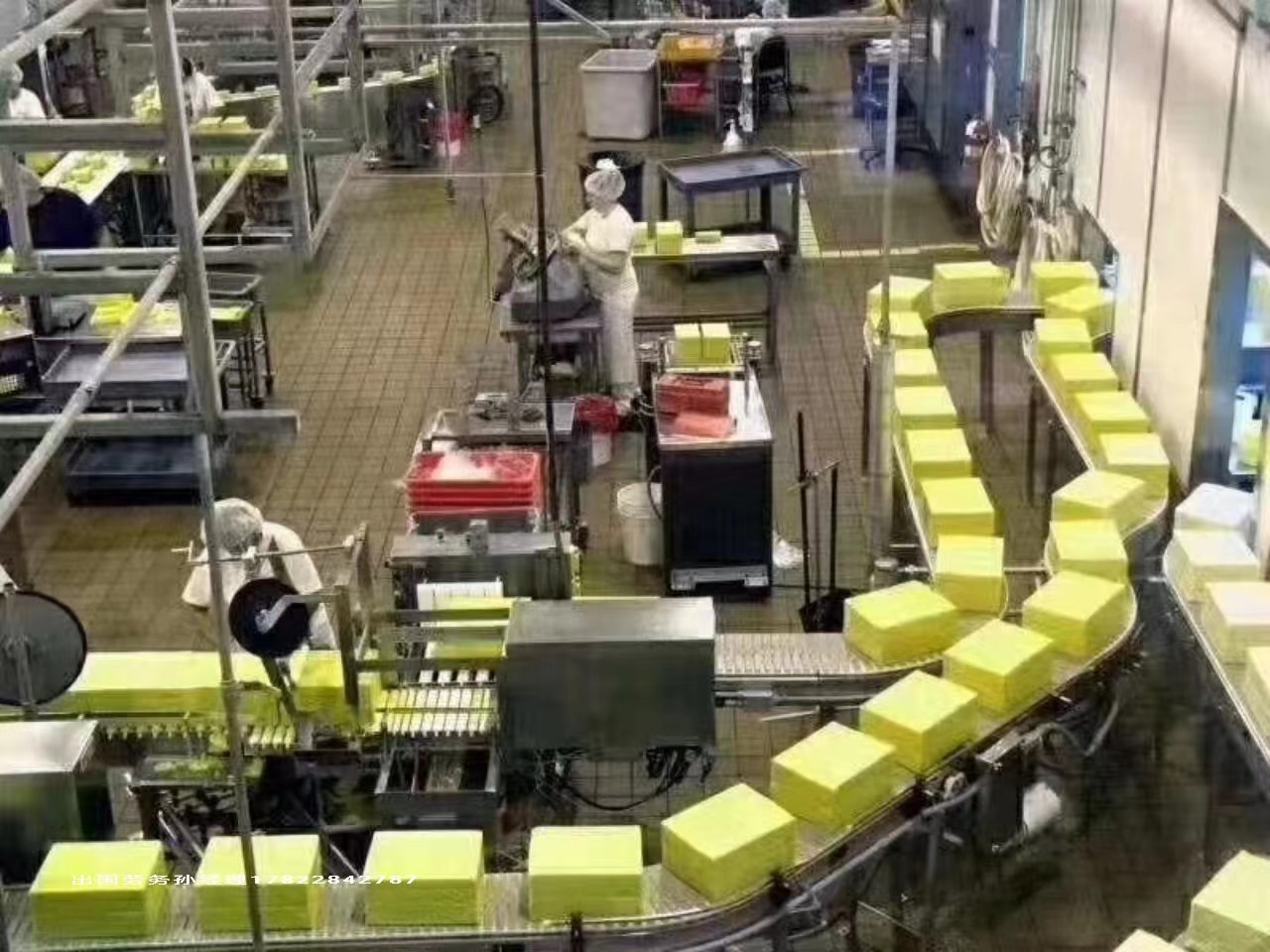 英国劳务外派奶粉厂招包装工