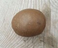 宝鸡(哪里有私下收购）乌木古董当天变现收购电话