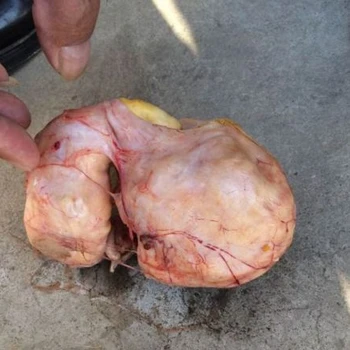 朝阳(哪有私人老板收购）奇石古董变现收购