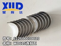图片0