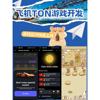 miniapp-ton生态搭建-系统搭建-多少钱