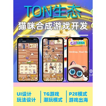 miniapp-ton生态搭建-系统搭建-多少钱