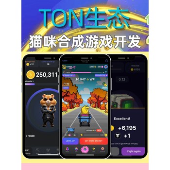 miniapp-ton生态搭建-系统搭建-多少钱