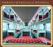 文登到成武的汽车客车大巴车时刻表图片4