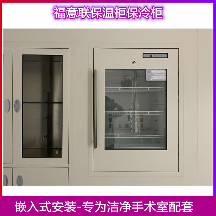 净化医用保温柜5-80℃保冷柜93L/580*595*820mm