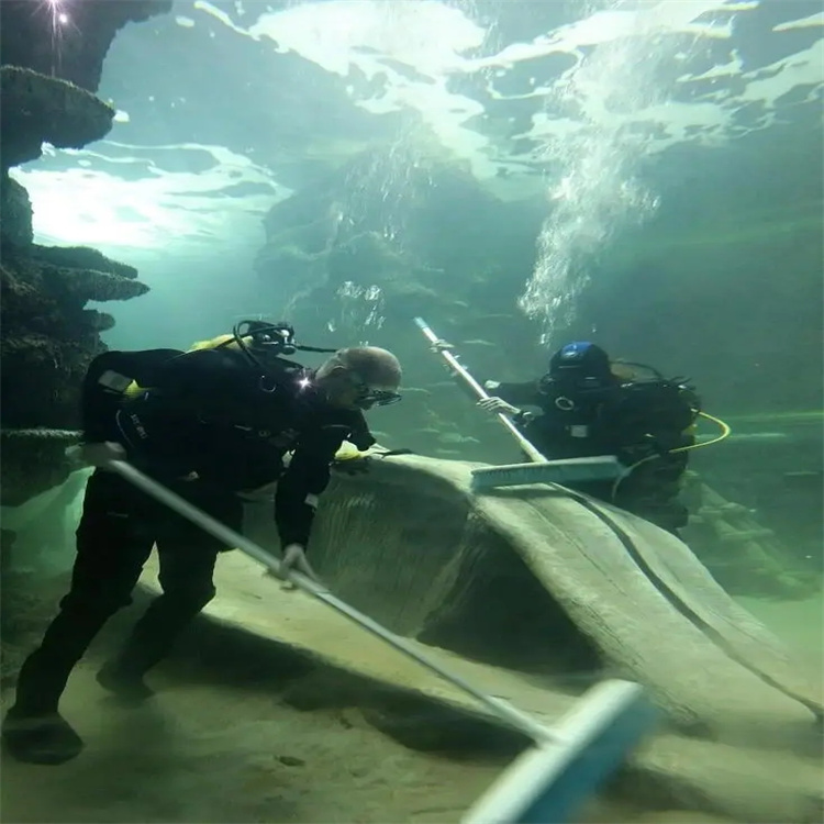 陕西柞水水下打捞 水下机器人公司