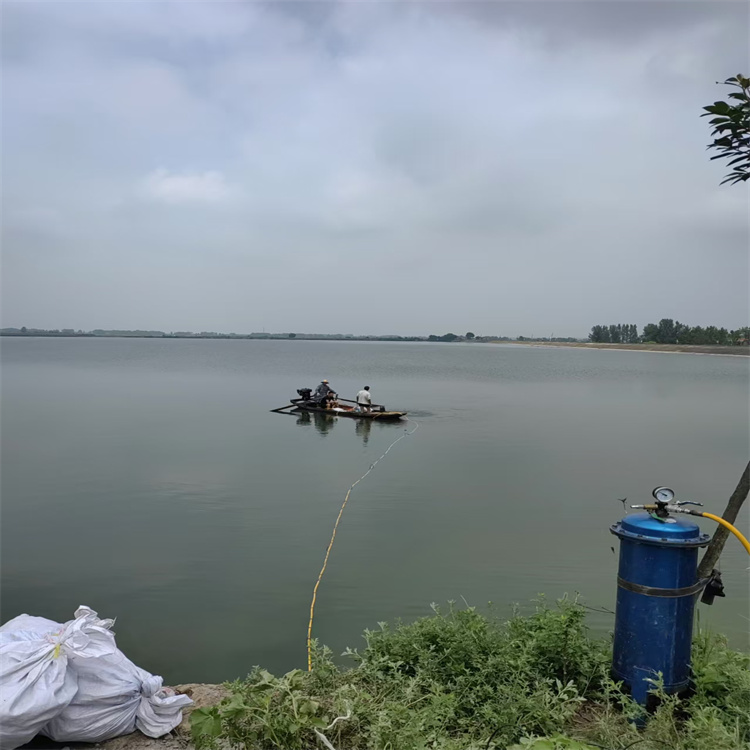 湛河区水下救援打捞 打捞队价格