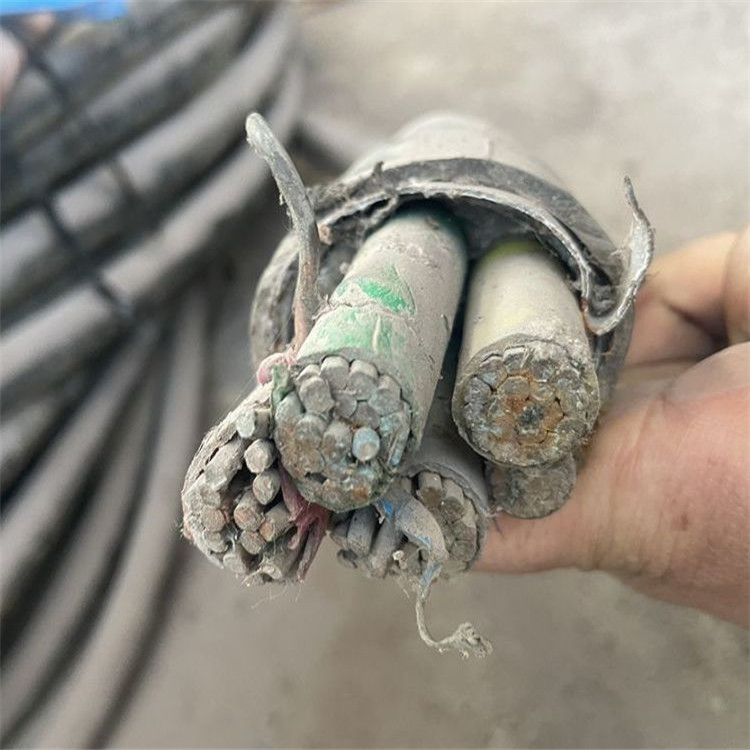 舟山特种电缆线回收 工厂旧线拆除收购 带皮一吨起收