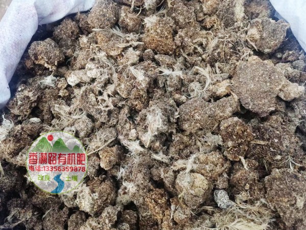 福建福州永泰发酵羊粪用于大棚蔬菜施肥