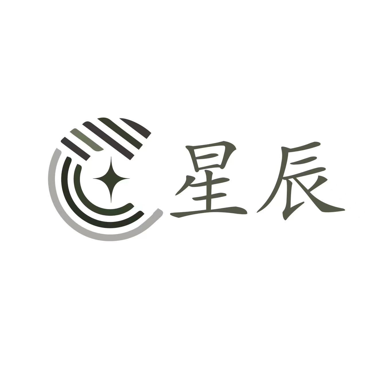 河南星辰科技实业有限公司