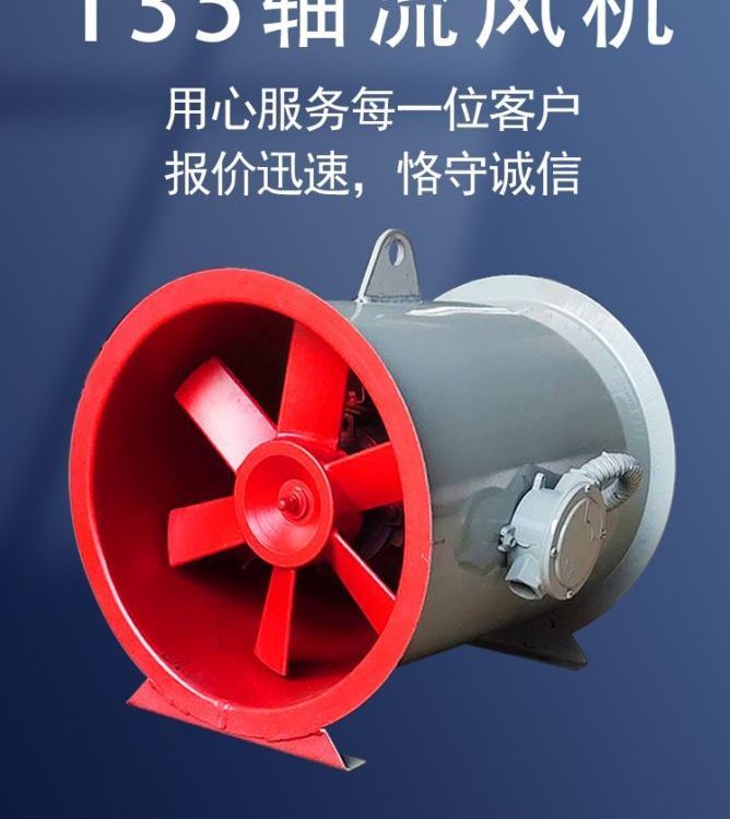 湖南衡阳轴流通风机220V强力排烟