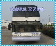 图片0