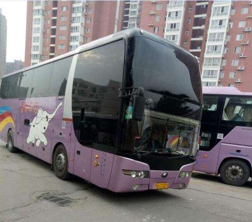汽车)文登到范县的客车直达大巴车