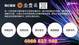 图片0
