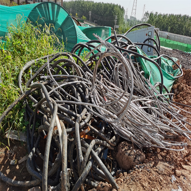 嵩县回收电缆电线  回收低压电缆省心省力