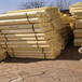  Xining Polyurethane Tile and Shell Factory